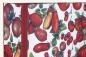 Preview: Ordner rote Tomaten